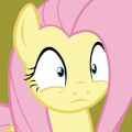 shy gasp